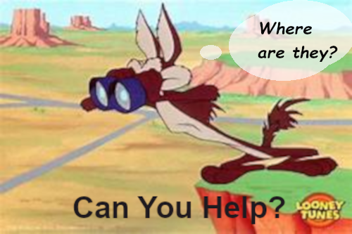 Wiley Coyote searching with Binoculars
